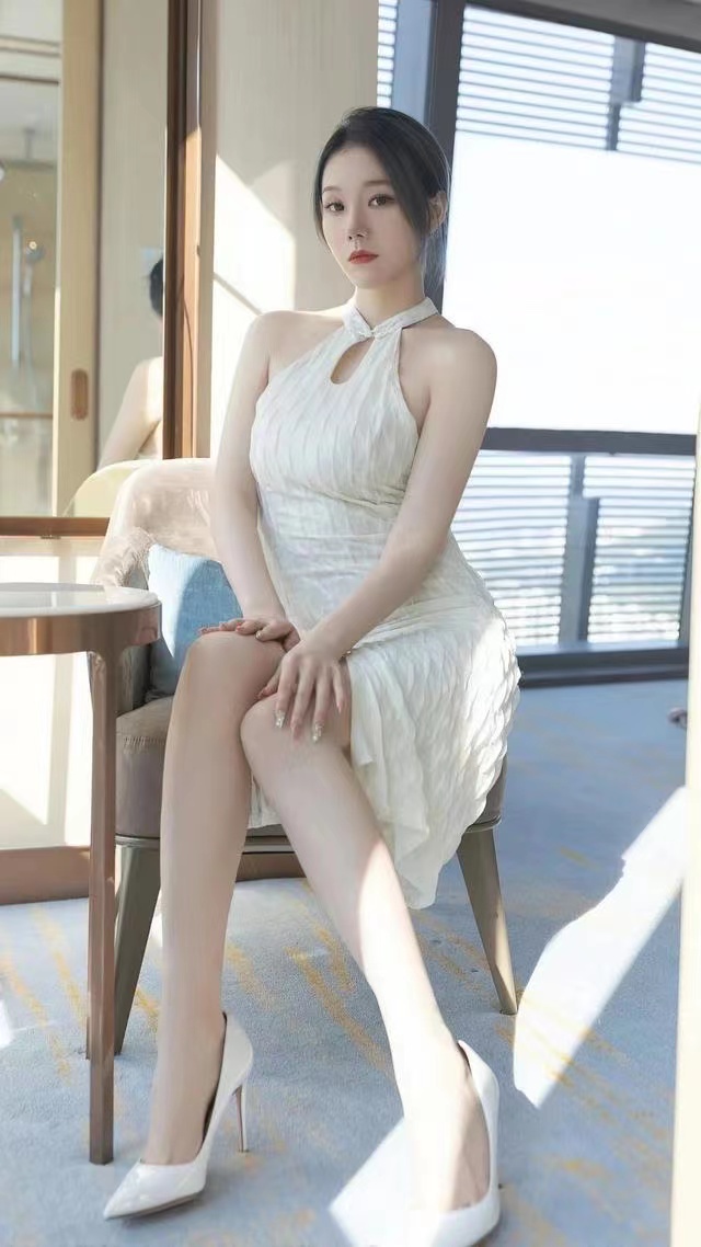 广州犬马之家电脑版(为主人提供一站式服务)